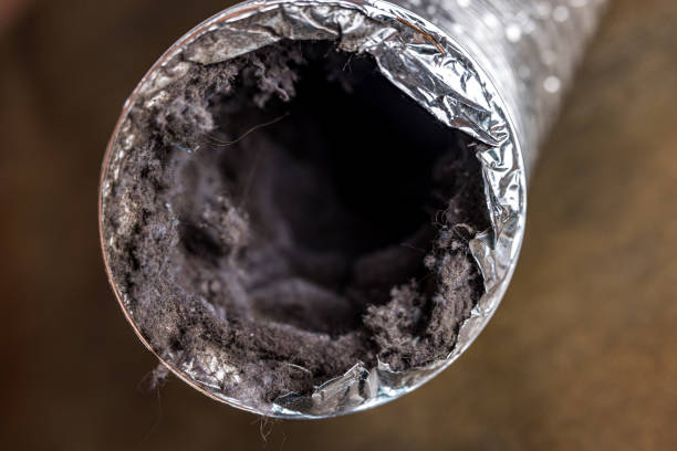 Best Ductwork Cleaning Services  in Ralston, NE